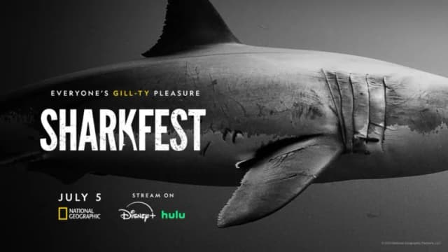 La programación SharkFest de National Geographic tiene como objetivo inspirar, educar y entretener
