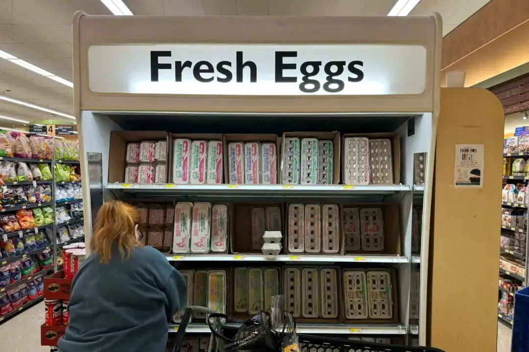 Un cliente compra huevos en una tienda de comestibles en San Rafael, California, el 25 de septiembre de 2024. (Justin Sullivan/Getty Images)
