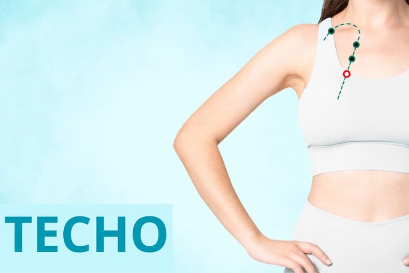 Techo (Wu Yi ST15). Ilustración (The Epoch Times)