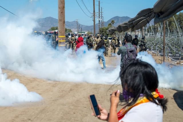 Arrestan a más de 200 personas durante operativos del ICE en cultivos de marihuana de California
