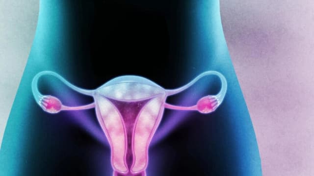 Médicos instan a la FDA a eliminar la advertencia en el recuadro negro sobre el tratamiento de la menopausia