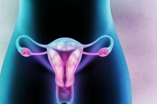 Médicos instan a la FDA a eliminar la advertencia en el recuadro negro sobre el tratamiento de la menopausia