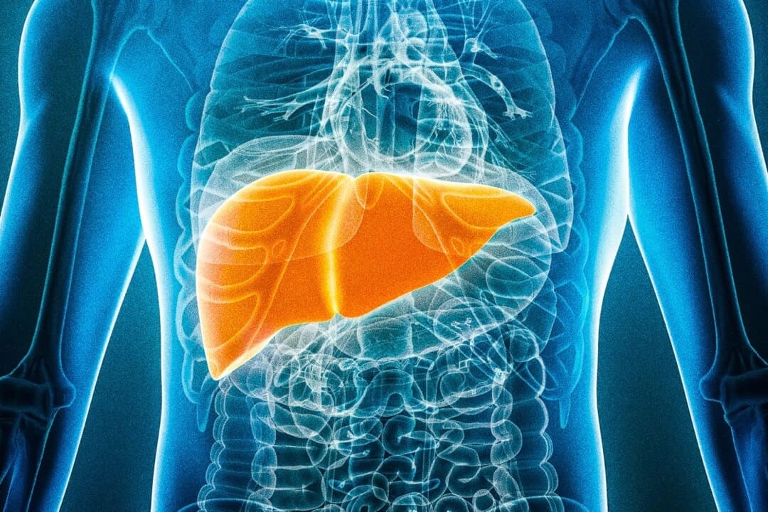 Para prevenir el cáncer de hígado, es importante evitar los carcinógenos y seguir una dieta que favorezca la salud hepática. (MattL_Images/Shutterstock)
