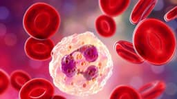 La quimioterapia altera el ADN y acelera el envejecimiento de las células sanas