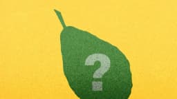 Una fruta popular con casi el doble de potasio que un plátano