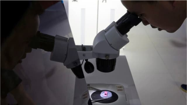 Un visitante de la 21ª Exposición Internacional de Alta Tecnología de Beijing observa un chip de computadora a través de un microscopio exhibido por el proyecto Tsinghua Unigroup, controlado por el estado, en Beijing el 17 de mayo de 2018. Ng Han Guan/AP Photo