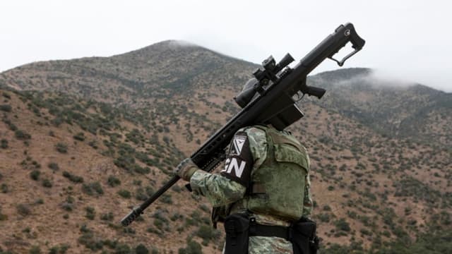 El ecosistema del mal en México