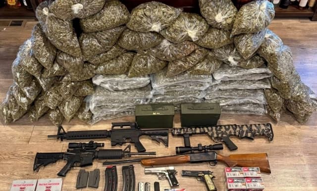 Los agentes del sheriff del condado de Mariposa, California, allanaron dos operaciones de cultivo ilegal de marihuana y luego encontraron más marihuana ilegal, dinero en efectivo y armas de fuego en la casa de un sospechoso, el 27 de julio de 2025. (Departamento del Sheriff del Condado de Mariposa)