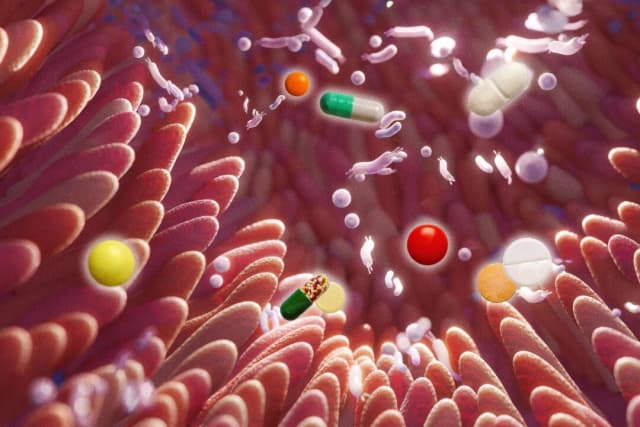 1 de cada 4 medicamentos no antibióticos está relacionado con la alteración de la salud intestinal