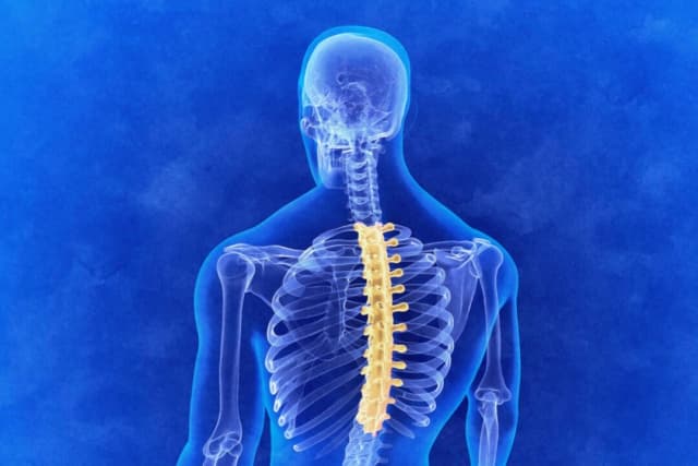 3 ejercicios para la columna que podrían aliviar la tensión en el pecho y otros síntomas