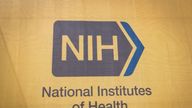 Los Institutos Nacionales de Salud (NIH) en Bethesda, Maryland, el 30 de mayo de 2024. (Madalina Vasiliu/The Epoch Times)
