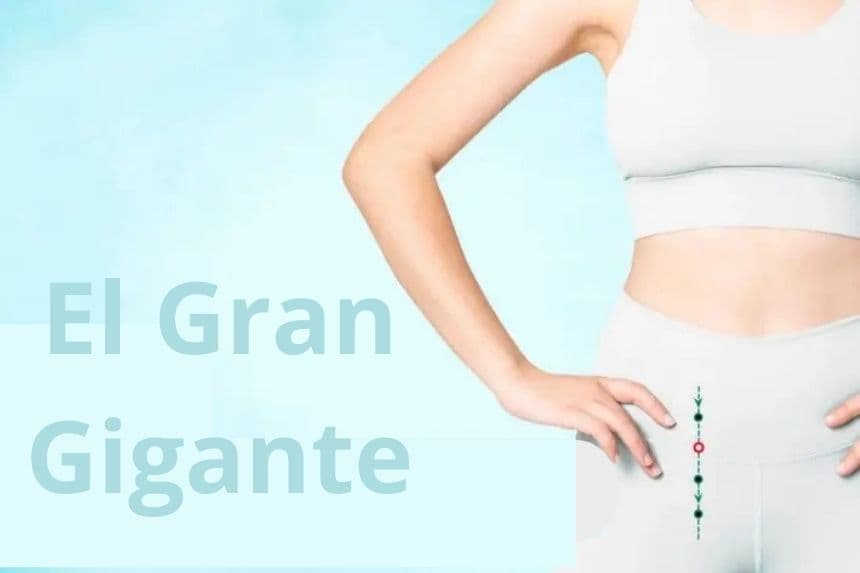 ST27 El Gran Gigante (Da Ju). (The Epoch Times)