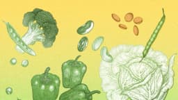 El problema con los antinutrientes y cómo reducir sus efectos negativos