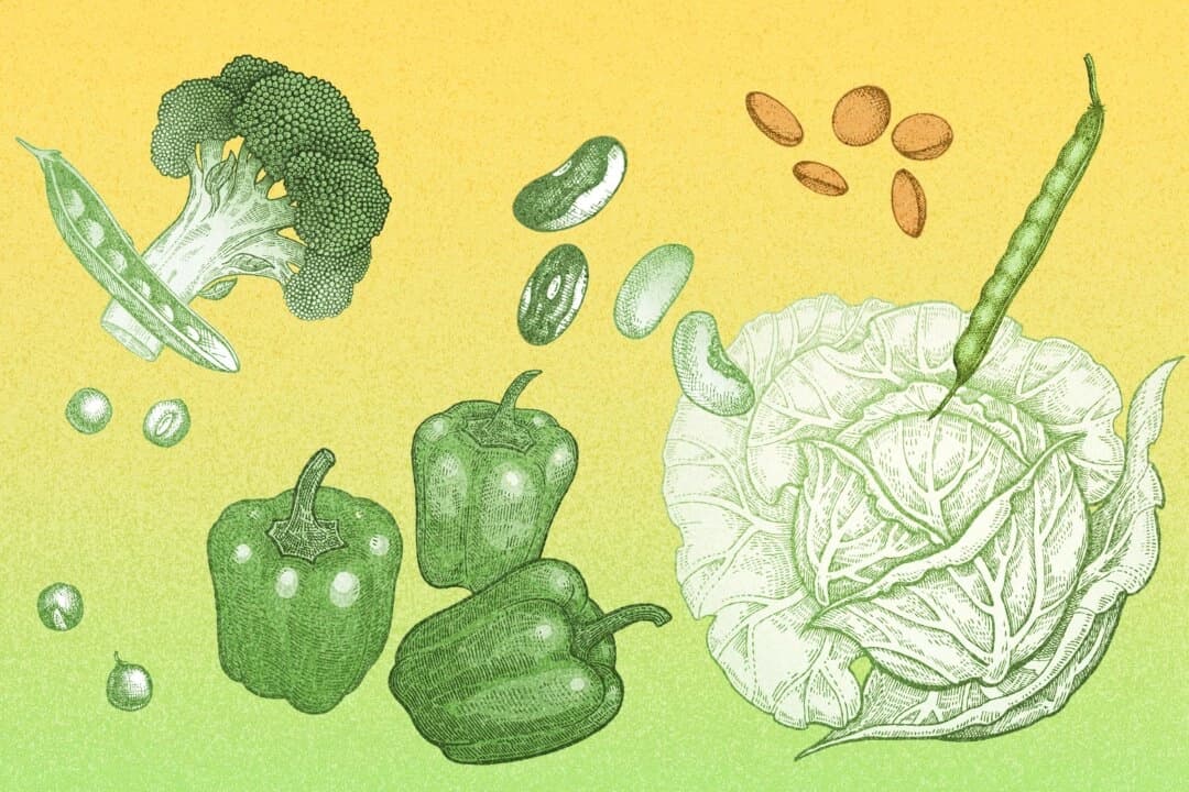 (Ilustración de The Epoch Times, Shutterstock)
