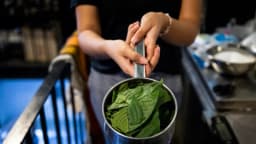 Lo que debe saber sobre el 7-OH, opioide sintético derivado del kratom que se enfrenta prohibición de la FDA