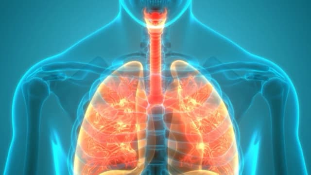 Anomalías pulmonares causadas por COVID, en su mayoría se curan con el tiempo, según nuevas directrices