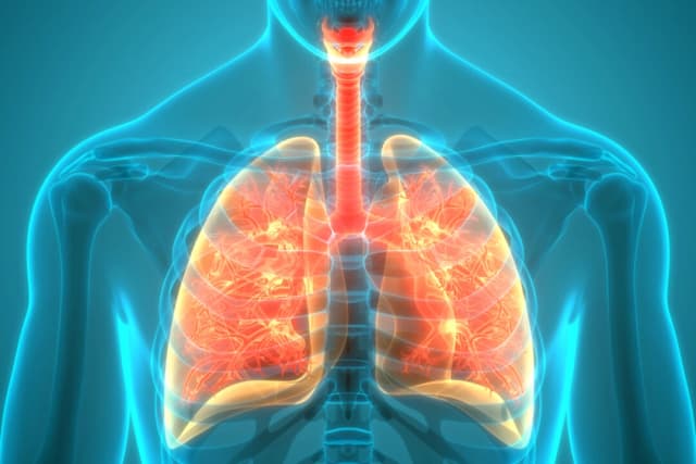 Anomalías pulmonares causadas por COVID, en su mayoría se curan con el tiempo, según nuevas directrices