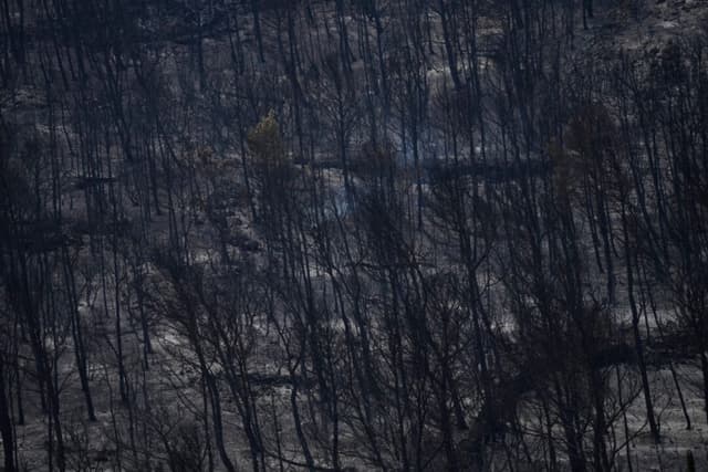 Bomberos luchan contra reactivación del mayor incendio forestal de Francia