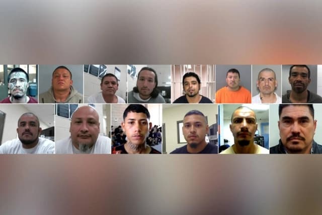 ICE detiene a más de 350 miembros de más de 40 bandas diferentes en Houston