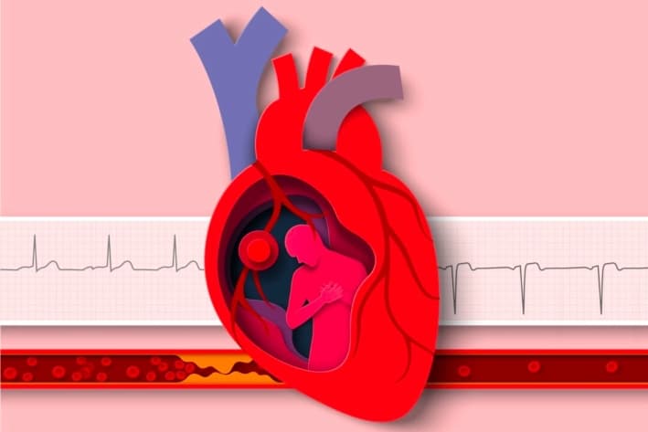 Ilustración de un corazón frente a un electrocardiograma. (Arte siberiano/Shutterstock)
