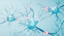 FDA defiende su exigencia de un nuevo ensayo clínico para terapia contra rara enfermedad cerebral