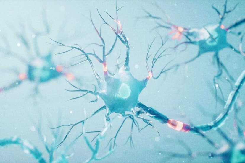 (Vink Fan/Shutterstock)