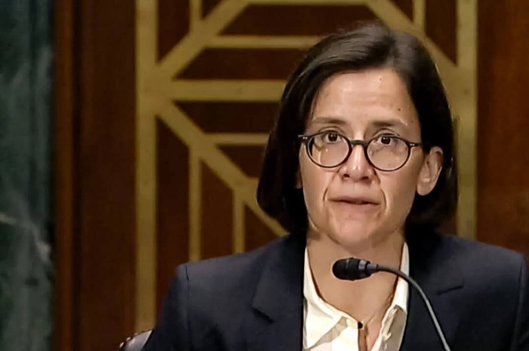 En una imagen de video, la jueza federal Ana Reyes habla durante una audiencia en Washington el 22 de junio de 2022. (Comité Judicial del Senado a través de The Epoch Times)