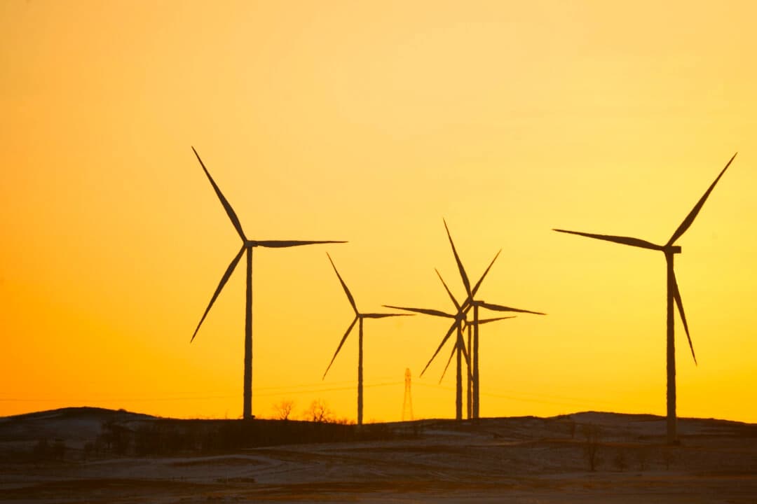 Aerogeneradores en un campo en Beulah, Dakota del Norte, el 22 de diciembre de 2023. (Madalina Vasiliu/The Epoch Times)