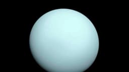 Telescopio Webb de la NASA descubre nueva luna diminuta alrededor de Urano