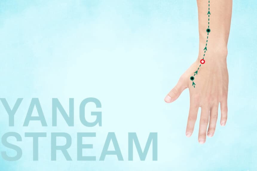 LI5 Yang Stream (Yang Xi) The Epoch Times