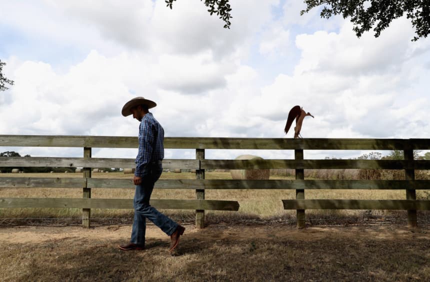 Imagen ilustrativa (Mark Thompson/Getty Images)