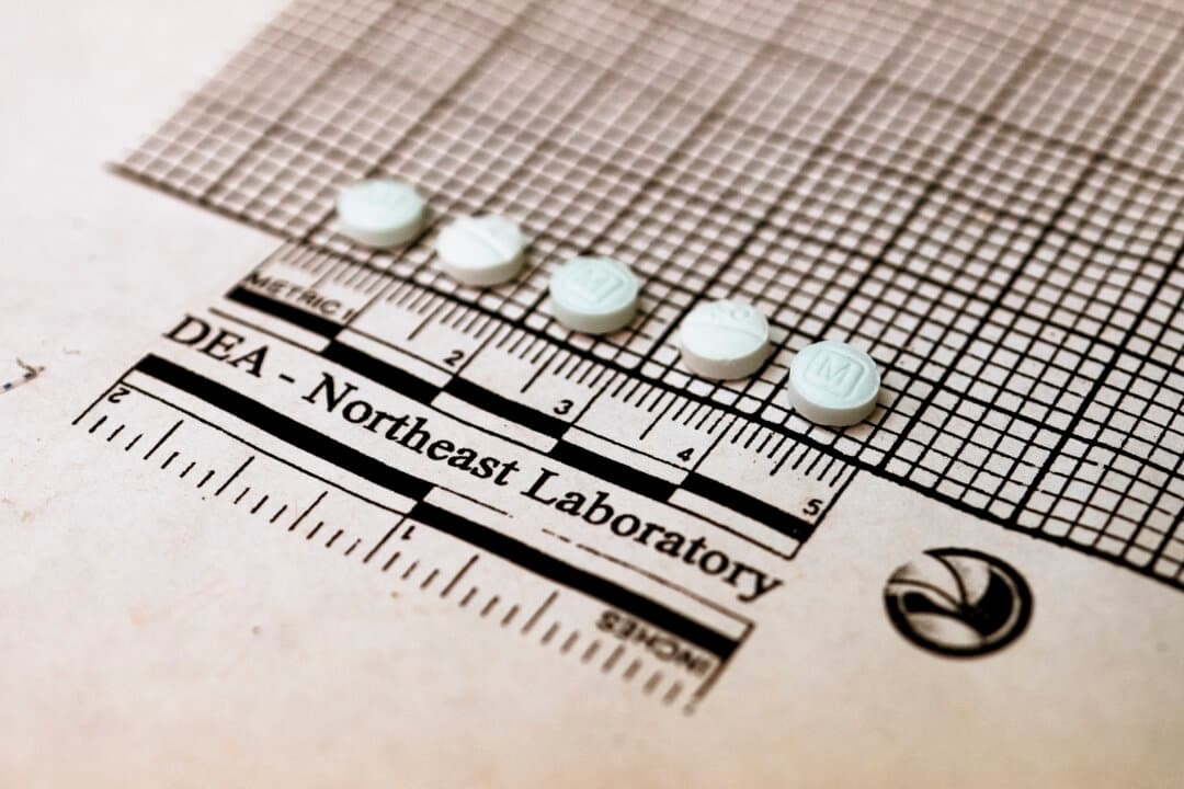 Pastillas sospechosas de contener fentanilo se colocan sobre un gráfico para medir su tamaño en la Oficina Regional Noreste de la Administración para el Control de Drogas (DEA), en Nueva York, el 8 de octubre de 2019. (Don Emmert/AFP a través de Getty Images)
