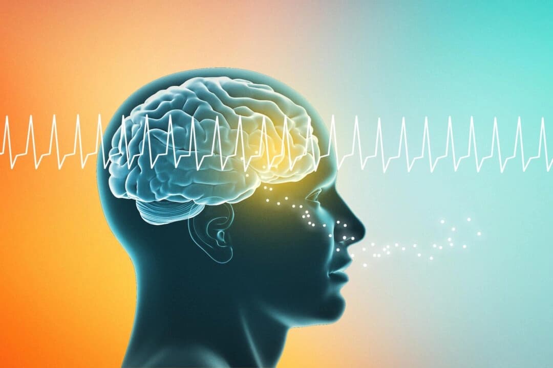 El sentido del olfato se puede mejorar con estimulación cerebral por ondas de radio