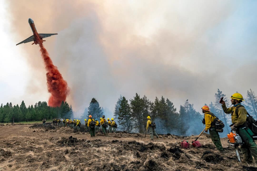 Bomberos forestales observan y graban con sus teléfonos móviles cómo un avión lanza retardante de fuego sobre Harlow Ridge, sobre el incendio de Lick Creek, al suroeste de Asotin, Washington, el 12 de julio de 2021. (Pete Caster/Lewiston Tribune vía AP)
