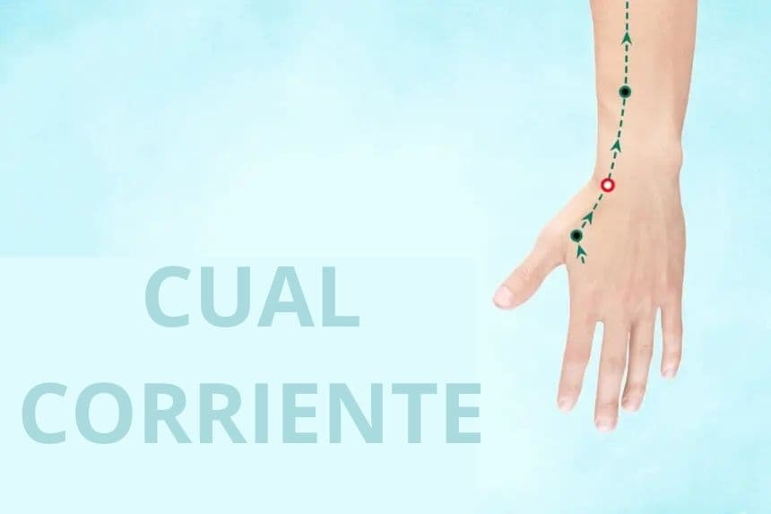 LI5 Cual Corriente (Yang Xi) The Epoch Times