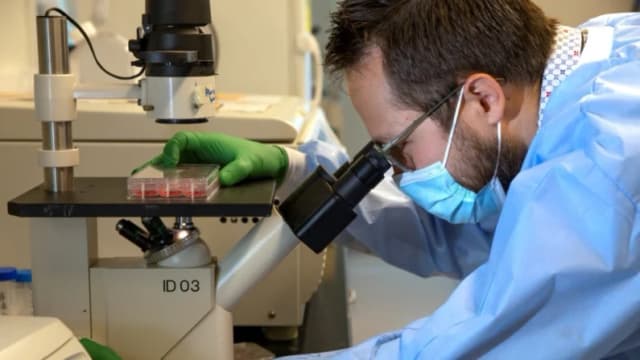 Un médico analiza una muestra de suero bajo un microscopio en un laboratorio de microbiología de la Facultad de Medicina de la Universidad de Washington en Seattle, Washington, el 11 de diciembre de 2020. (Karen Ducey/Getty Images)