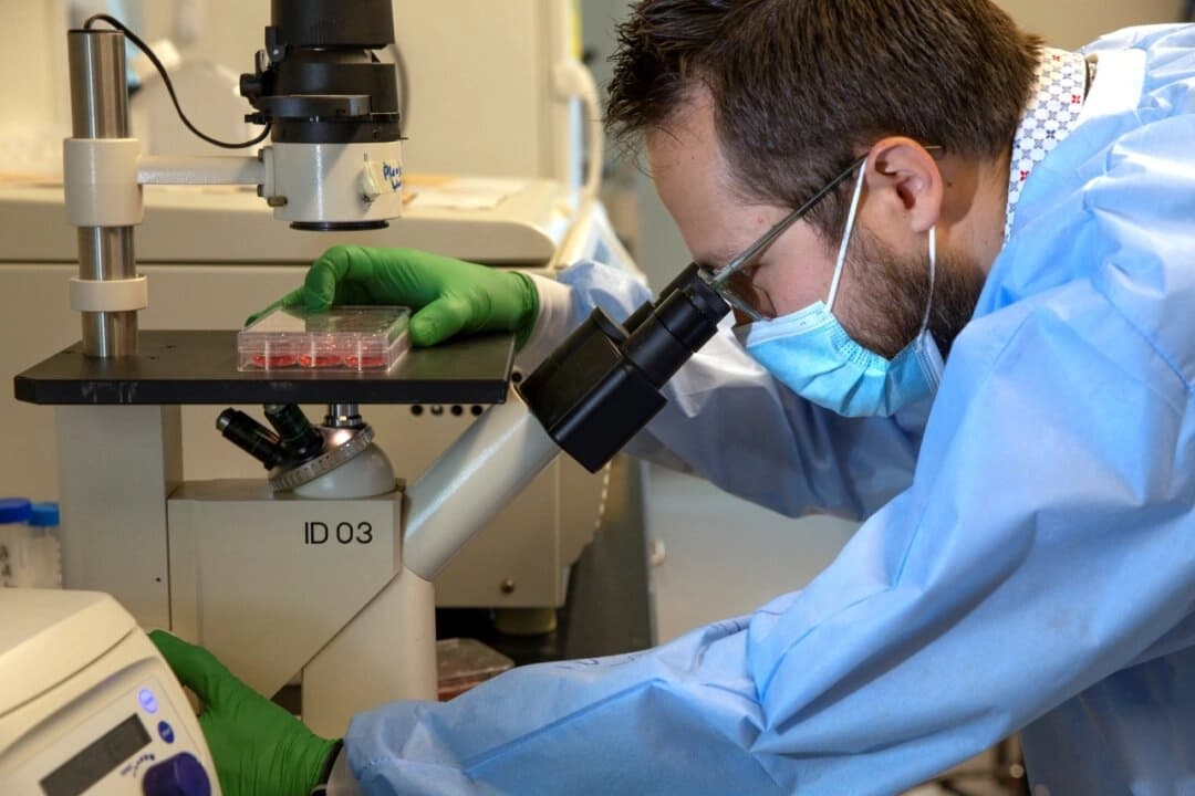 Un médico analiza una muestra de suero bajo un microscopio en un laboratorio de microbiología de la Facultad de Medicina de la Universidad de Washington en Seattle, Washington, el 11 de diciembre de 2020. (Karen Ducey/Getty Images)