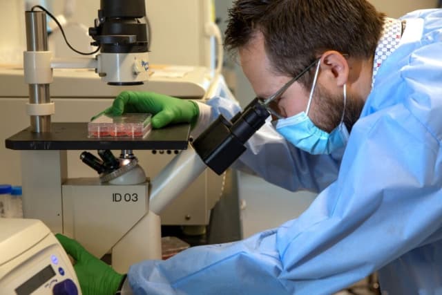 Un médico analiza una muestra de suero bajo un microscopio en un laboratorio de microbiología de la Facultad de Medicina de la Universidad de Washington en Seattle, Washington, el 11 de diciembre de 2020. (Karen Ducey/Getty Images)