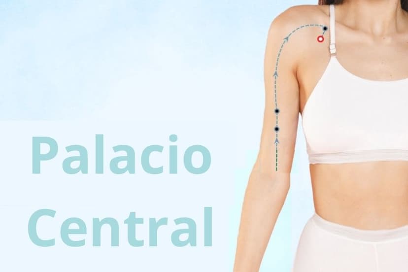 LU1 Palacio Central (Zhong Fu) (Ilustración The Epoch Times)