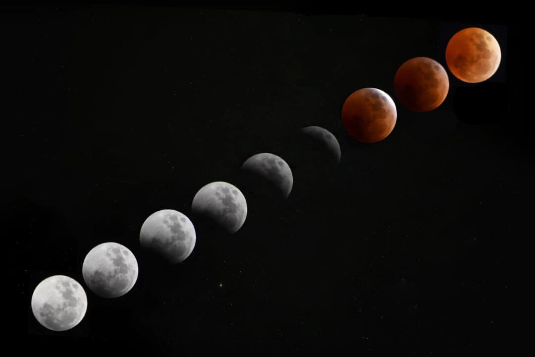 Una imagen compuesta muestra un eclipse lunar total en curso. (Shutterstock/SShank)
