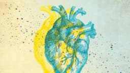 Cómo reducir el riesgo de los microplásticos relacionados con las enfermedades cardíacas