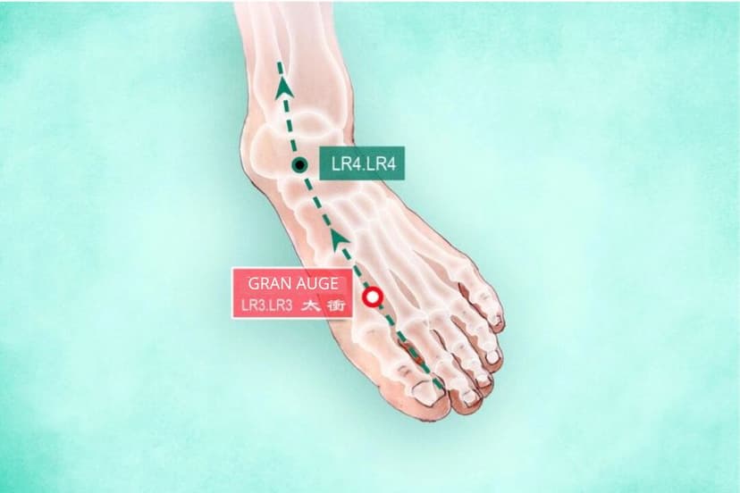 Punto de acupuntura LR3 Gran Auge - Tai Chong (The Epoch Times)
