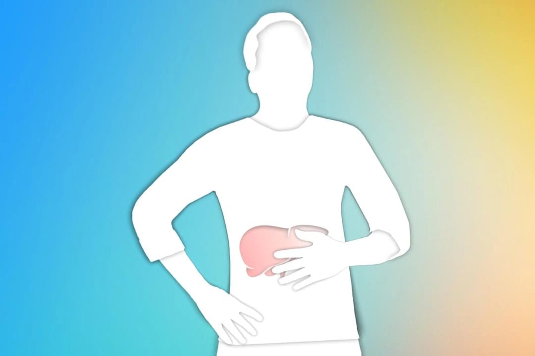 El papel vital del hígado: El motor de la salud metabólica