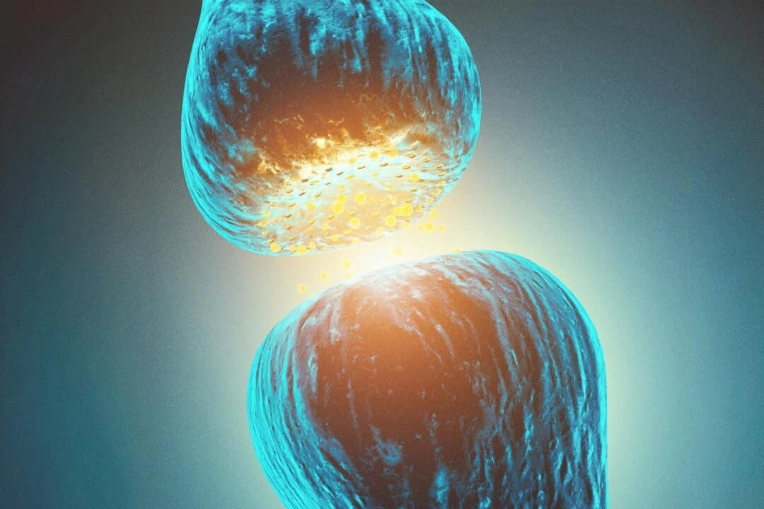 Cómo aumentar el GABA de forma natural