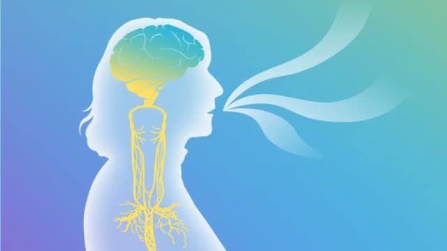 Cómo la estimulación del nervio vago puede aliviar el TEPT