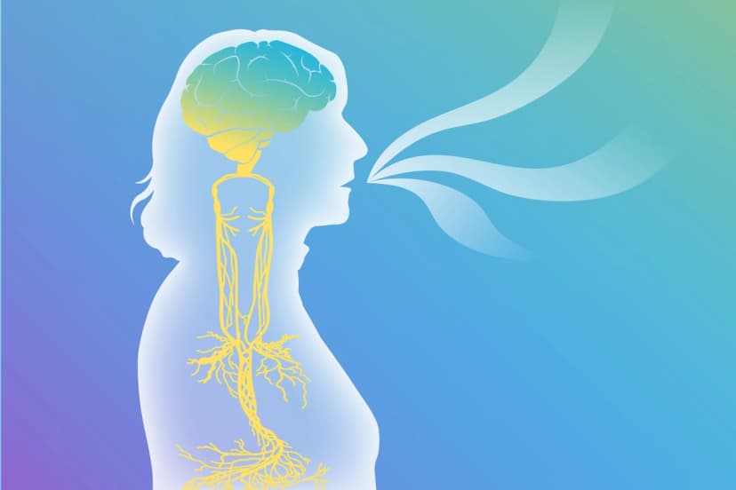 (llustración de The Epoch Times, Shutterstock)