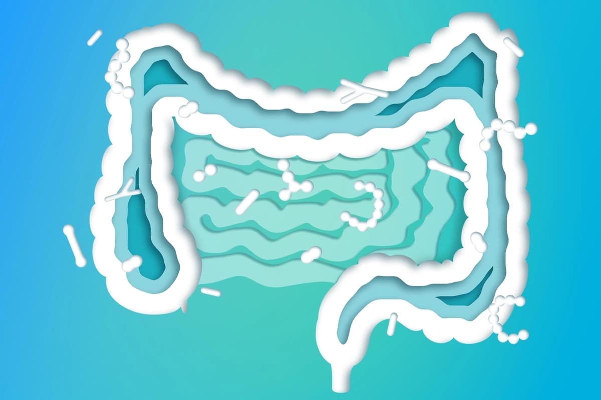 Acelera tu metabolismo con cambios beneficiosos para la salud intestinal
