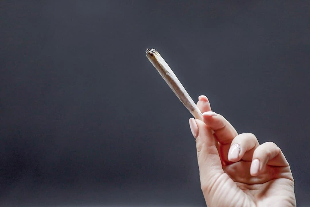 Encuentran nuevas evidencias de que el cannabis afecta la calidad de los óvulos humanos: estudio