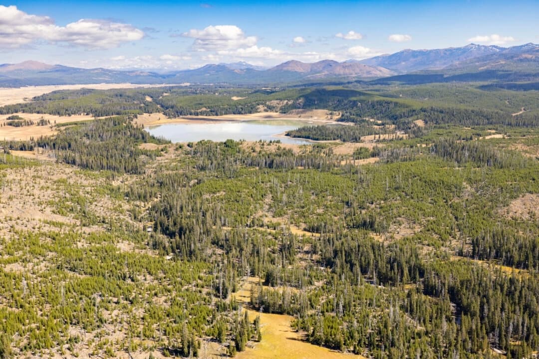 El lago Turbid en el Parque Nacional de Yellowstone, Wyoming, el 21 de septiembre de 2024. (Jacob W. Frank/Servicio de Parques Nacionales a través de AP)
