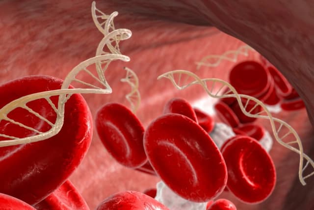 Una nueva investigación descubre en alimentos comunes, ADN que combate el cáncer